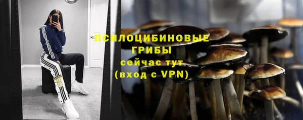 круглые Арсеньев
