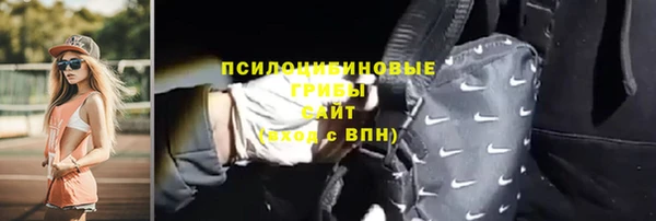 apvp Аркадак
