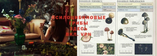 дистиллят марихуана Семикаракорск