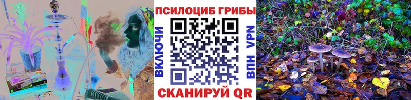 Галлюциногенные грибы мицелий Славгород